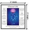 Choose Life_Dimensions